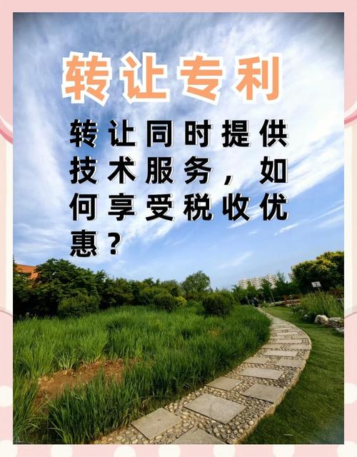 公司技术转让与培训收入合并享税优的条件解析