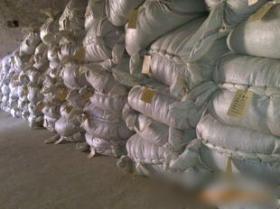 临沂市鑫润药业中药材金银花技术转让项目介绍